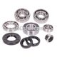 engine bearing set w/ oil seals for Vespa Smallframe 20mm 50, S, N, R, L, Special, Elestart, PK, 80, 90, 125