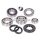 engine bearing set w/ oil seals for Vespa Smallframe 24mm 50, S, N, R, L, Special, Elestart, PK, 80, 90, 125