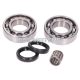 crankshaft bearing set w/ shaft seals for Rotax 122, 123