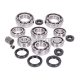 Bearing set engine incl. oil seals for ROTAX Type 123 -1997 2T LC