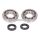 crankshaft bearing set w/ shaft seals for Peugeot Speedfight, Elyseo, Trekker 100