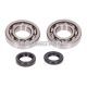 crankshaft bearing set w/ shaft seals for Peugeot Speedfight, Elyseo, Trekker 100