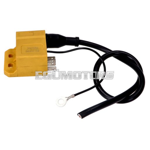 101 Octane CDI egység gyújtótekercsel Minarelli AM6, Derbi Senda (Ducati, Kokusan gyújtás)