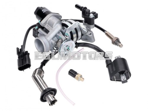 fuel injection system for 139QMB 50cc EFI Euro4 / Euro5, GT Union GT3, Striker, Alpha Motors Shark, GMX 460