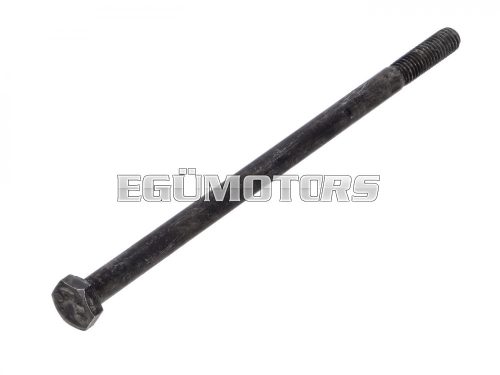 Engine bolt reinforced DIN931 M6x120 10.9 for Piaggio Bravo, Ciao, Boxer, Si, Su