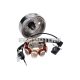 Alternator stator incl. flywheel for China 4-stroke GY6 Euro4 25Km/h