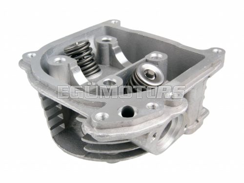 cylinder head assy incl. valves with SAS / EGR system cylinder head assy