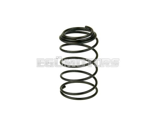 oil filter screen spring