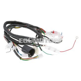   101 Octane fő kábelköteg / általános kábelköteg Jinlun Fighter 50-hez