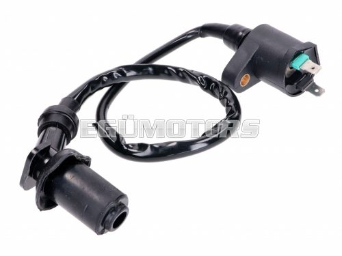 ignition coil with spark plug cap