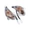 indicator light set front, white for BT49QT-9