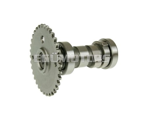 camshaft for GY6 125/150cc