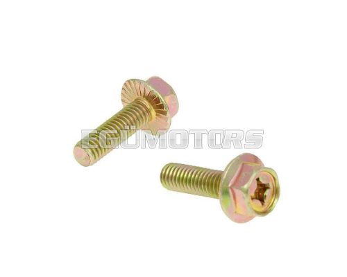 exhaust screws M6x16 - set of 2 pcs