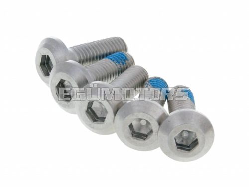 pan head screw M8x25/20 for brake disc - set of 5 pcs