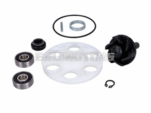 water pump repair kit for Minarelli LC