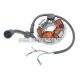 alternator stator for Piaggio Ape Mix, TL5T