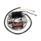 Alternator stator breaker 6V 17W clockwise for Puch Maxi E50