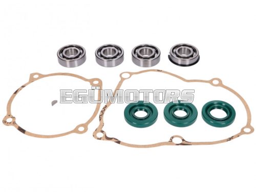 engine gasket and bearing set for Puch Maxi S, N, E50 (old type engine)