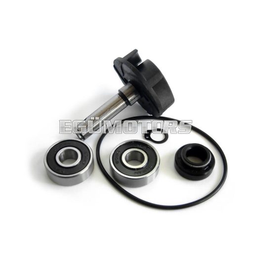 Minarelli vízpumpa felújító szett, taiwani