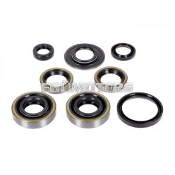   Oil seal set 8 2x 15x30x7 1x 15x31,5x3,5 16x24x4 25x31,2x4 10x16x4,5 for Hercules, Miele, DKW, KTM, Göricke, Gritzner