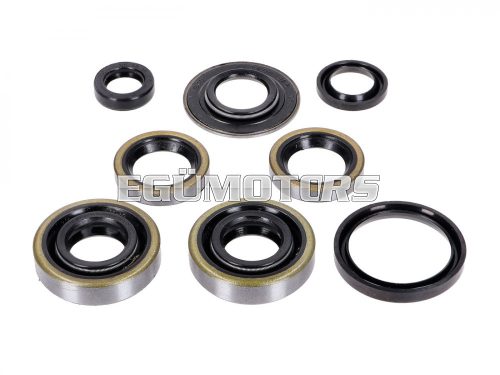 Oil seal set 8 2x 15x30x7 1x 15x31,5x3,5 16x24x4 25x31,2x4 10x16x4,5 for Hercules, Miele, DKW, KTM, Göricke, Gritzner