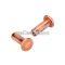 Tool compartment lock rivet set 2 pieces for Kreidler Florett RS, RM, RMC, LF, LH, egg tank