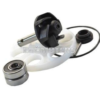 RMS vízpumpa felújító szett, Minarelli