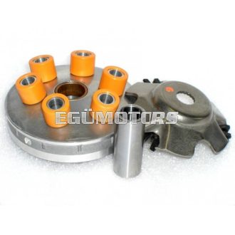 RMS variátor, Piaggio, 5.3g 