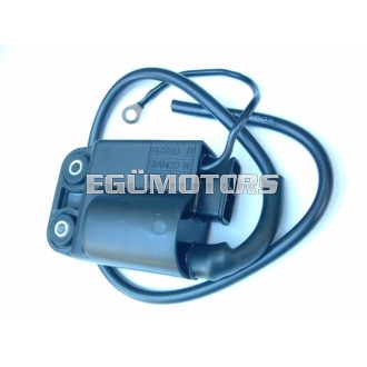 RMS CDI, Piaggio/Gilera