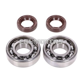   Naraku csapágy készlet SKF / FKM Premium C4 fém kosaras, Peugeot fekvő