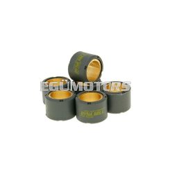   variator weights Maxi-Scooter - 20x14.5 - 9.00g - set of 6 pcs