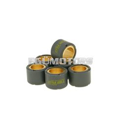   variator weights Maxi-Scooter - 20x14.5 - 12.00g - set of 6 pcs