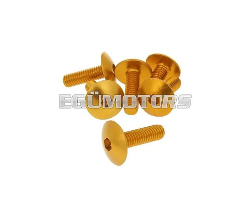 fairing screws hex socket head - anodized aluminum gold - set of 6 pcs - M6x20