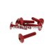 fairing screws hex socket head - anodized aluminum red - set of 6 pcs - M6x30