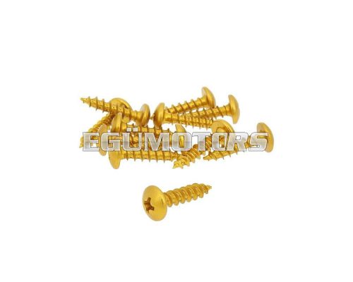 fairing screws anodized aluminum gold - set of 12 pcs - M5x20