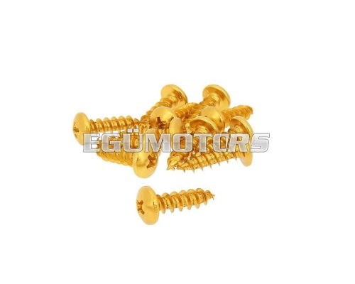 fairing screws anodized aluminum gold - set of 12 pcs - M6x20