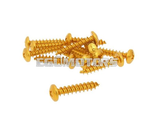 fairing screws anodized aluminum gold - set of 12 pcs - M6x30