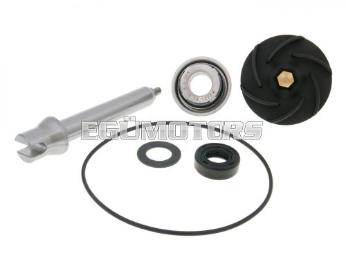 water pump repair kit for Piaggio 400, 500cc 2004-