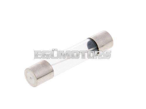 micro glass fuse 30x6mm 10A