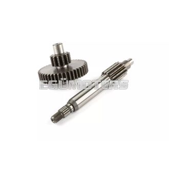 Stage6 Végáttétel, Primer, 13/43