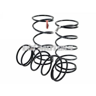 Stage6 Kontrasztrugó, Minarelli, 3 féle