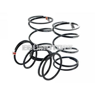 Stage6 Kontrasztrugó, Peugeot, 3 féle