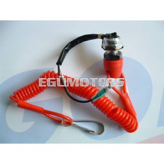 STR8 Gyújtásmegszakító, Kill Switch