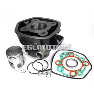 Taiwani 50ccm hengerszett, Minarelli fekvő LC