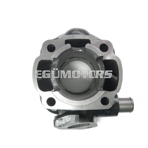 Taiwani 50ccm hengerszett, Minarelli fekvő LC