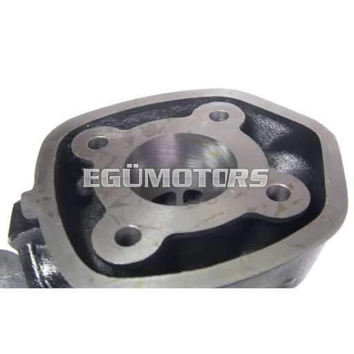 Taiwani 50ccm hengerszett, Minarelli fekvő LC