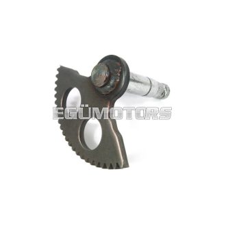 Taiwani berúgó fogasív, Minarelli hosszú